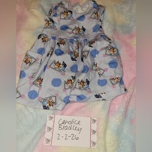 Hanna Andersson Bluey Skater Dress 3t